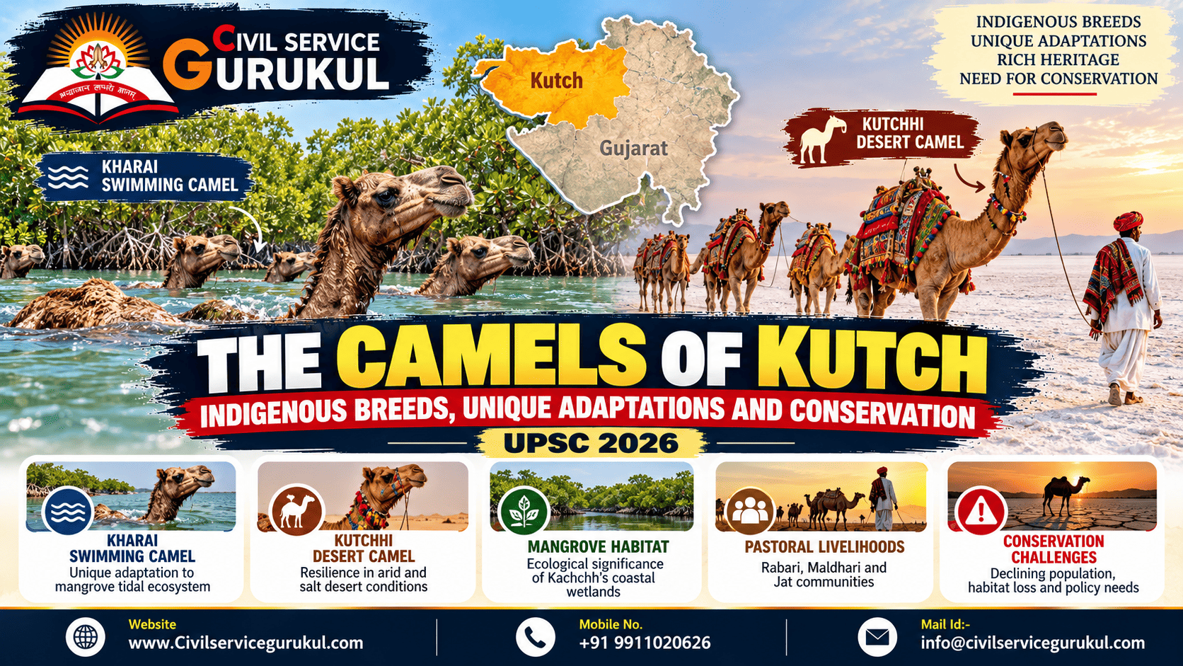 Camels of Kutch in Crisis: Why Gujarat's Swimming Camels Need Protection